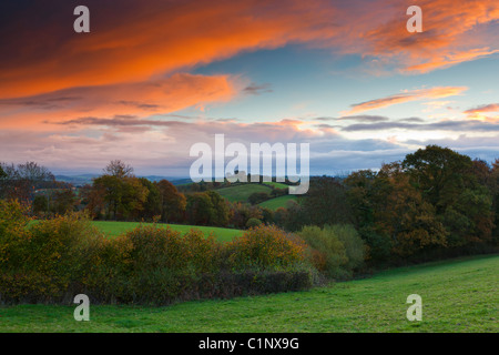 Automne le lever du soleil sur les champs à proximité de Exeter. Devon. Le sud-ouest de l'Angleterre. L'Europe Banque D'Images