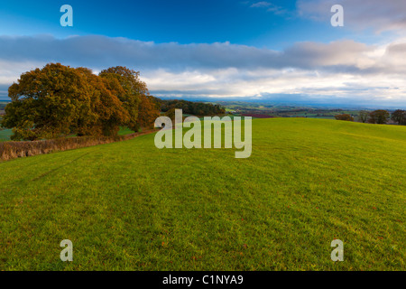 Campagne Près de Crediton, Devon, Angleterre du Sud-Ouest, Royaume-Uni, Europe Banque D'Images