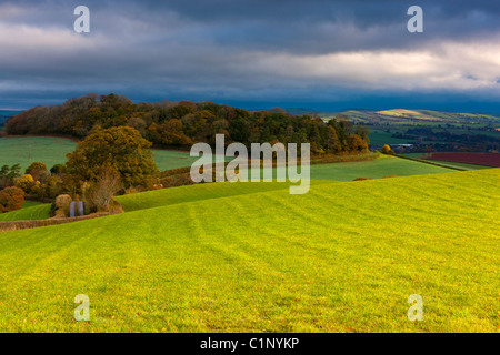 Campagne Près de Crediton, Devon, Angleterre du Sud-Ouest, Royaume-Uni, Europe Banque D'Images