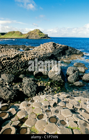 Royaume-uni, Irlande du Nord (Ulster), comté d'Antrim, la Chaussée des Géants Banque D'Images