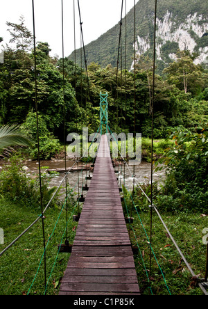 La corde d'un pont sur la rivière Melinau de Mulu National Park, Bornéo Banque D'Images