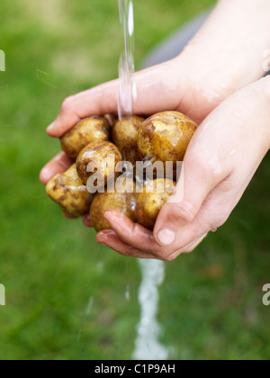 Lave-mains de womans pommes sous l'eau Banque D'Images