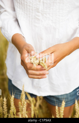 Midsection of woman holding wheat stalks Banque D'Images