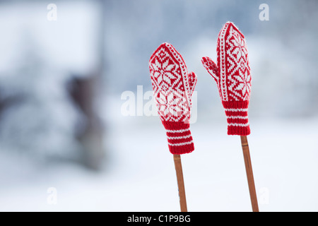 Deux gants laineux sur des bâtons de ski Banque D'Images