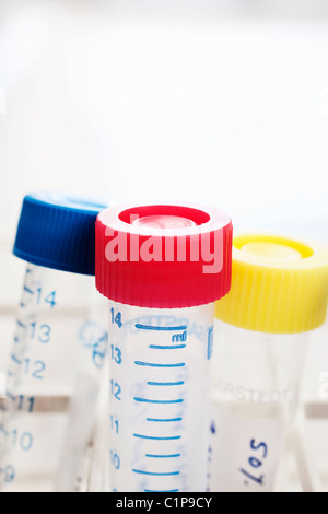 Tubes à essai Banque D'Images