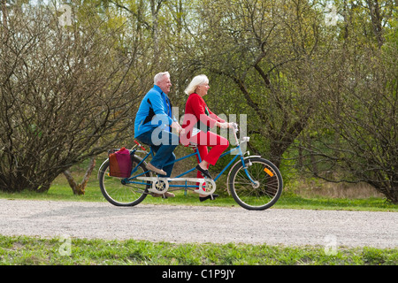 Vélo Tandem Senior couple in park Banque D'Images