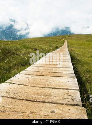 Promenade en bois on meadow Banque D'Images