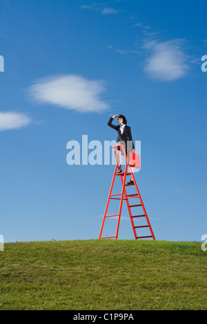 Businesswoman with briefcase rouge debout sur le haut de l'échelle de l'herbe rouge dans le champ et de blindage yeux Banque D'Images