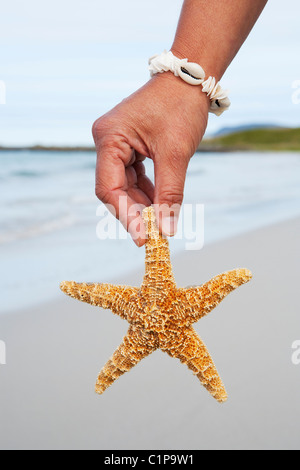 Les personnes hand holding starfish on beach Banque D'Images