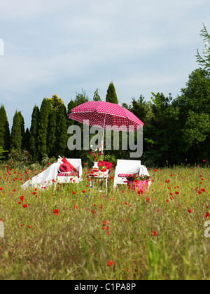 Deux chaises longues et parasol rose dans le champ de coquelicots Banque D'Images