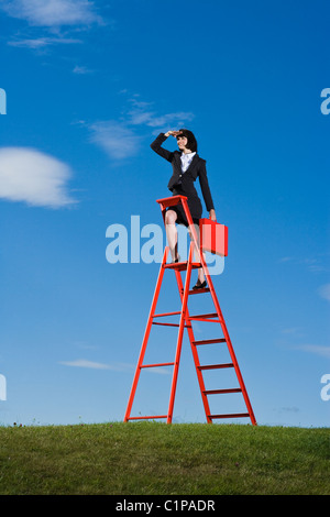 Businesswoman with briefcase rouge debout sur le haut de l'échelle de l'herbe rouge dans le champ et de blindage yeux Banque D'Images