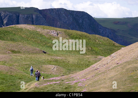 L'Écosse, St Abbs Head, les randonneurs à pied on hillside Banque D'Images