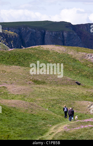 L'Écosse, St Abbs Head, les randonneurs à pied on hillside Banque D'Images