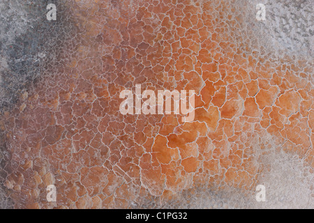 VUE AÉRIENNE VERTICALE.Lac salé rose.Le lac de Searles est un lac sec près de Trona, en Californie du Sud, aux États-Unis. Banque D'Images