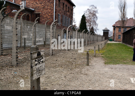 Clôtures de barbelés à Auschwitz-Birkenau, en Pologne. Banque D'Images