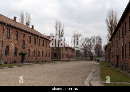 Blocs de la prison du camp de concentration d'Auschwitz-Birkenau, en Pologne. Banque D'Images