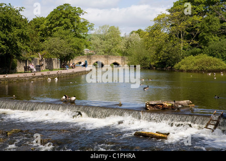 L'Angleterre, Derbyshire Peak District, Bakewell, Weir et pont sur la rivière Wye Banque D'Images