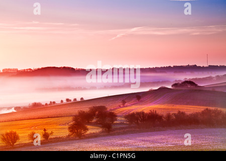 Un magnifique lever du soleil sur la Misty Marlborough Downs, dans le Wiltshire, England, UK Banque D'Images