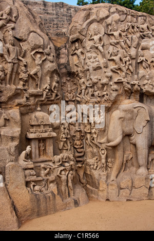 La pénitence d'Arjuna rock sculptures en relief de Mahabalipuram dans le Tamil Nadu Banque D'Images