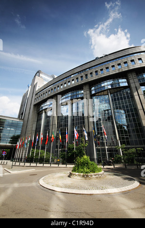 Drapeaux devant le Parlement de l'UE - Bruxelles, Belgique Banque D'Images
