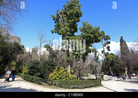 Grèce Athènes attika le jardin national Banque D'Images