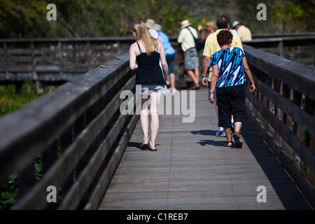 Les gens qui marchent sur les passerelles surélevées, Caye verte Zones Humides, Florida, USA Banque D'Images
