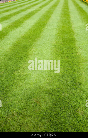 Stripy pelouse avec coupe longue en herbe à rayures / jardin jardins. Surrey. UK. Banque D'Images