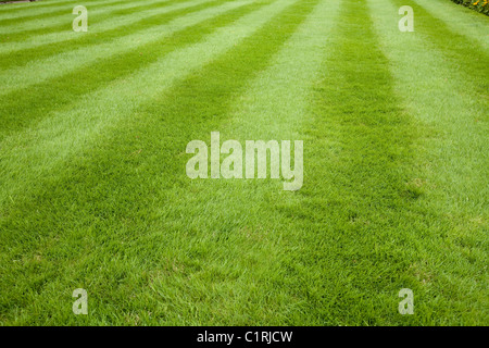 Stripy pelouse avec coupe longue en herbe à rayures / jardin jardins. Surrey. UK. Banque D'Images