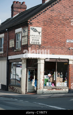 Aliments pour animaux de compagnie du vieux Spratt shop signe au-dessus d'un pet shop à Stoke on Trent, Staffordshire. Banque D'Images