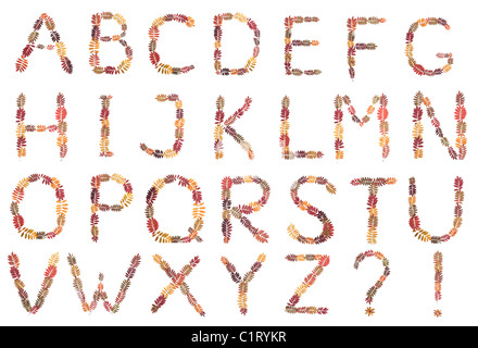 L'alphabet de l'automne feuille sur fond blanc Banque D'Images