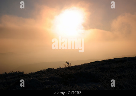 Misty sunset jaune et orange Banque D'Images