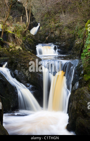 Pecca Falls Ingleton Yorkshire Angleterre Banque D'Images