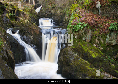 Pecca Falls Ingleton Yorkshire Angleterre Banque D'Images