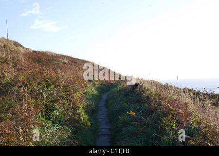 Sentier sur la falaise à Cornwall Banque D'Images