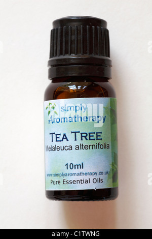 Bouteille de l'Aromathérapie tout simplement d'huiles essentielles d'arbre à thé isolé sur fond blanc Banque D'Images