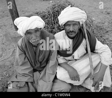 Marché aux chameaux, Daraw, Haute Egypte Banque D'Images