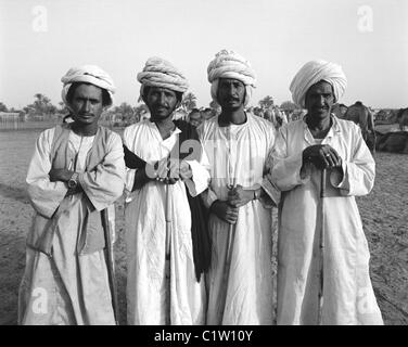 Marché aux chameaux, Daraw, Haute Egypte Banque D'Images