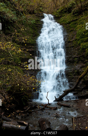 La nuque de l'eau, à proximité de New Radnor, Powys, Wales Banque D'Images