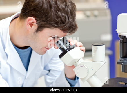 Homme dynamique à la recherche scientifique à l'aide d'un microscope Banque D'Images