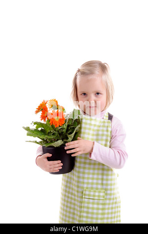 Petite fille tenant un pot avec des fleurs orange (gerbera). Isolated on white Banque D'Images