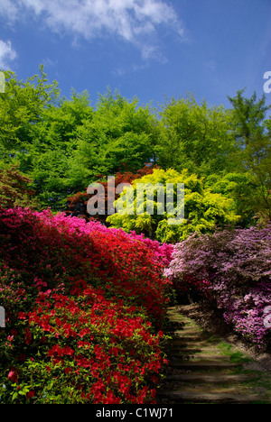 Vue sur les eaux de la Virginie en fleur Banque D'Images