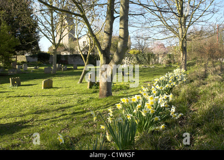 Une partie de l'enclos paroissial de l'Anglo-saxon de l'église St Mary, Bramber, West Sussex. Banque D'Images