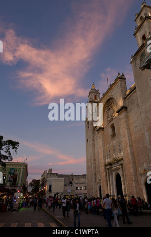 La Cathédrale de San Ildefonso au crépuscule à Mérida, la capitale et plus grande ville de l'état du Yucatan et péninsule du Yucatán, au Mexique. Banque D'Images