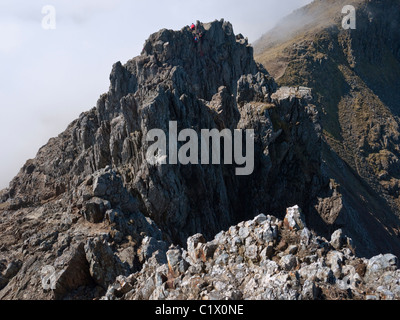 Rampants sur les sommets de Crib Goch - partie de la classique Snowdon Horseshoe ridge à pied Banque D'Images