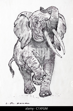 L'éléphant d'Afrique (Elephantidae Loxodonta africana) - fusain sur papier par Kurt Tessmann Banque D'Images