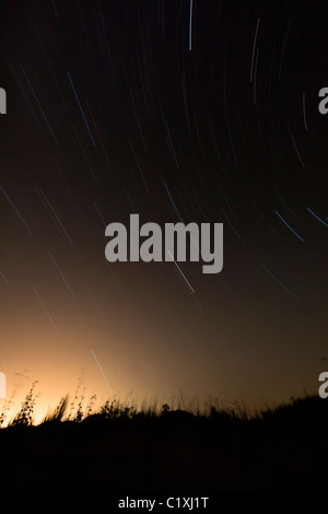 Star Trails in night sky Texas USA Banque D'Images