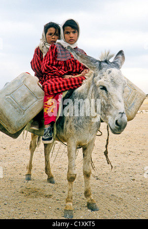 Les petites filles portant de l'eau sur l'âne, Sakkara, Egypte Banque D'Images