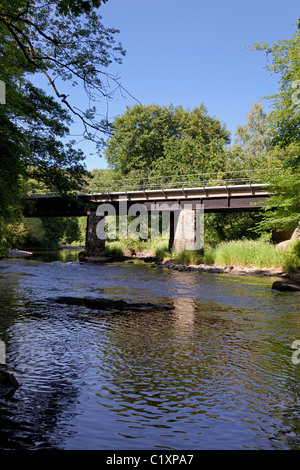 South Devon chemin de fer à vapeur conservé traversant la rivière Dart près de Buckfastleigh, South Hams, Devon, Angleterre, Royaume-Uni Banque D'Images