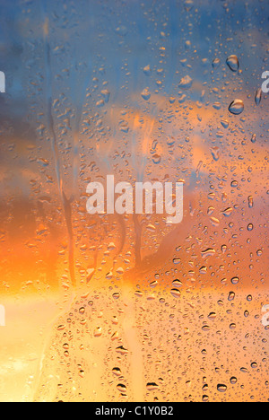 La condensation sur la fenêtre Banque D'Images