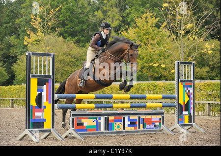 Young woman riding horse jumping hurdle Holstein Banque D'Images